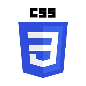 CSS